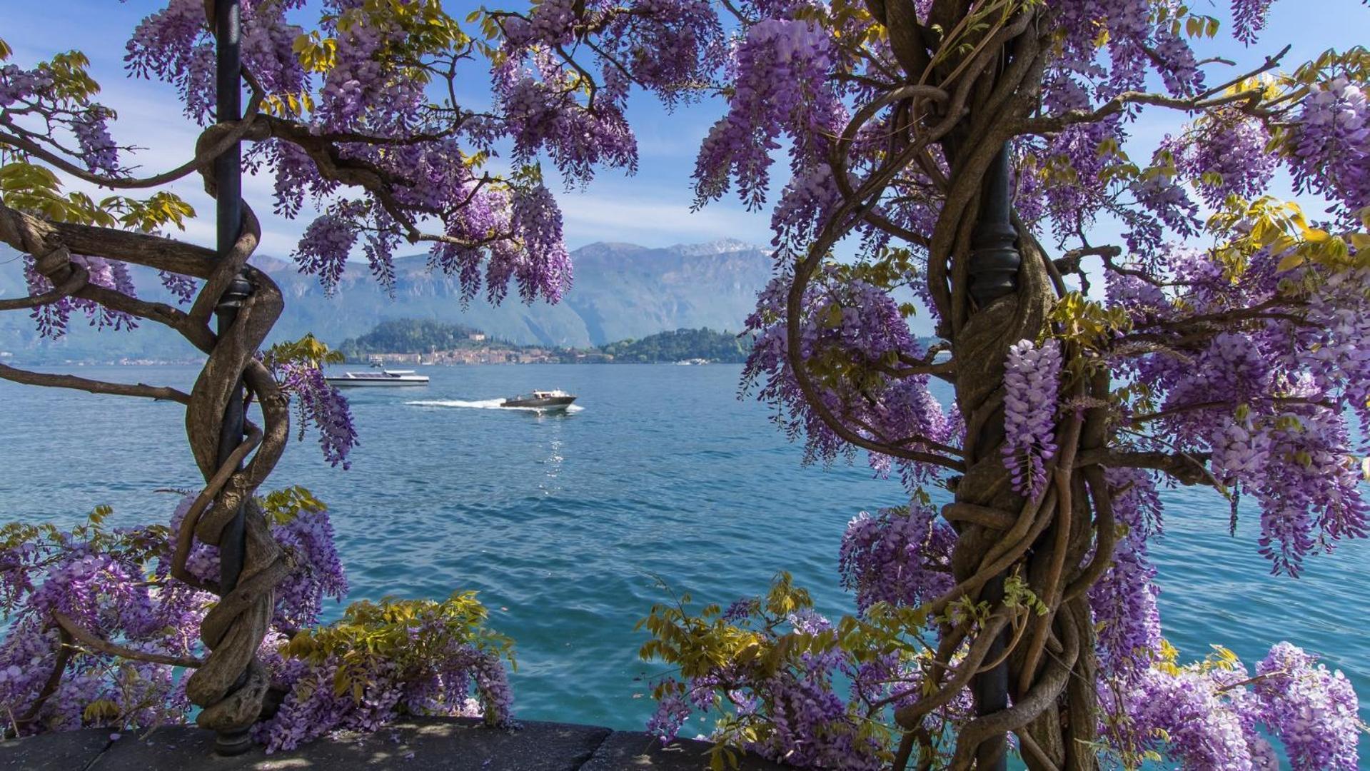 Clubhouse Villa Menaggio Eksteriør billede